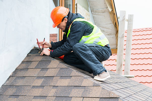 Best Roof Gutter Cleaning  in Kirksville, MO