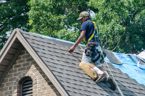 Best Shingle Roofing Installation  in Kirksville, MO
